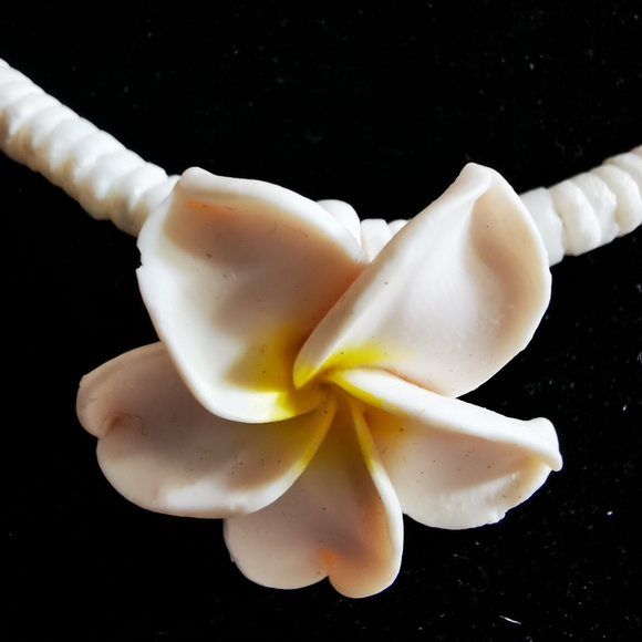 Puka Shell and Plumeria Flower Necklace - Picture 12 of 15